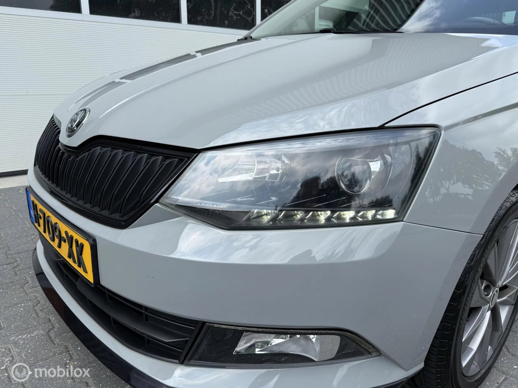 Hoofdafbeelding Škoda Fabia