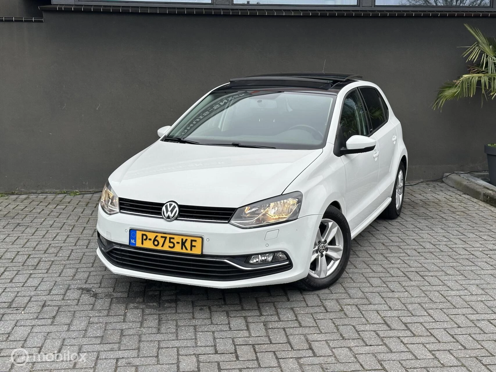 Hoofdafbeelding Volkswagen Polo