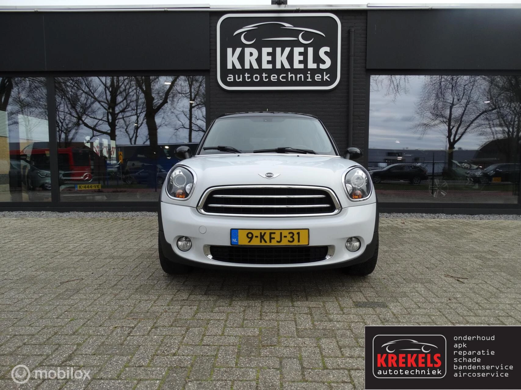 Hoofdafbeelding MINI Paceman
