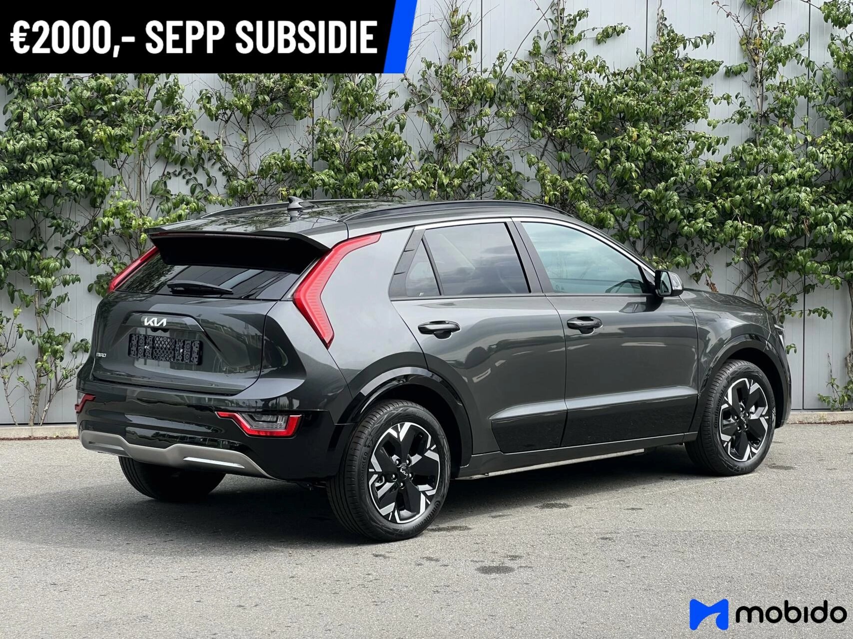 Hoofdafbeelding Kia Niro EV