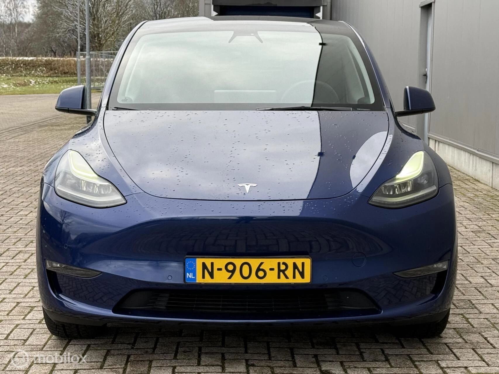 Hoofdafbeelding Tesla Model Y