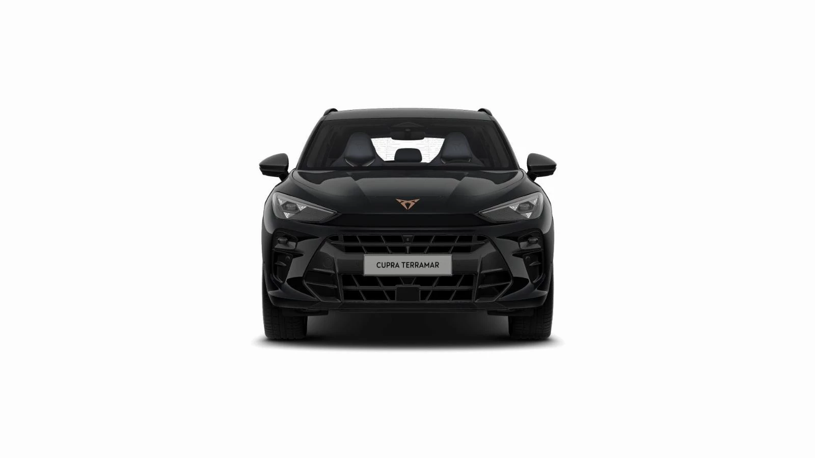 Hoofdafbeelding CUPRA Terramar