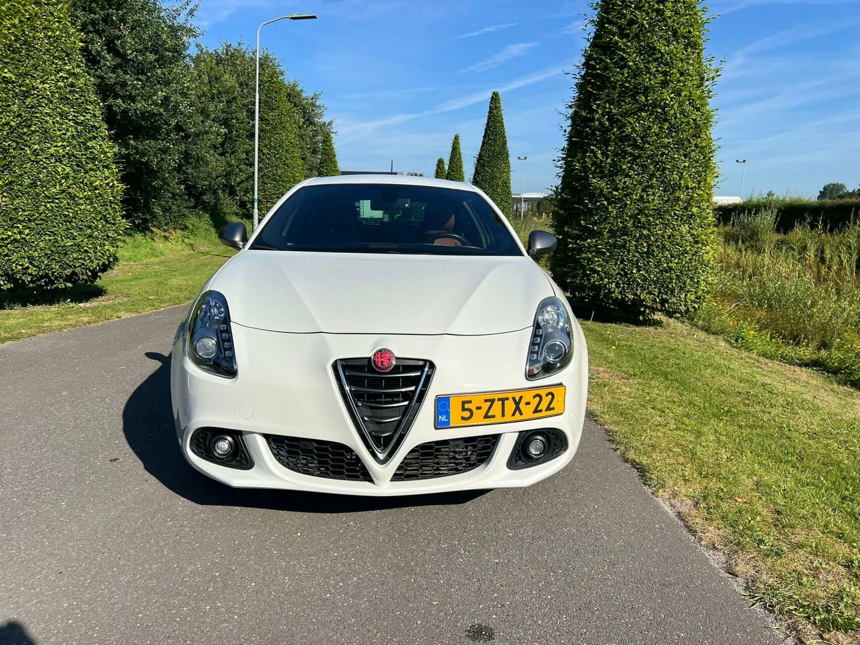 Hoofdafbeelding Alfa Romeo Giulietta
