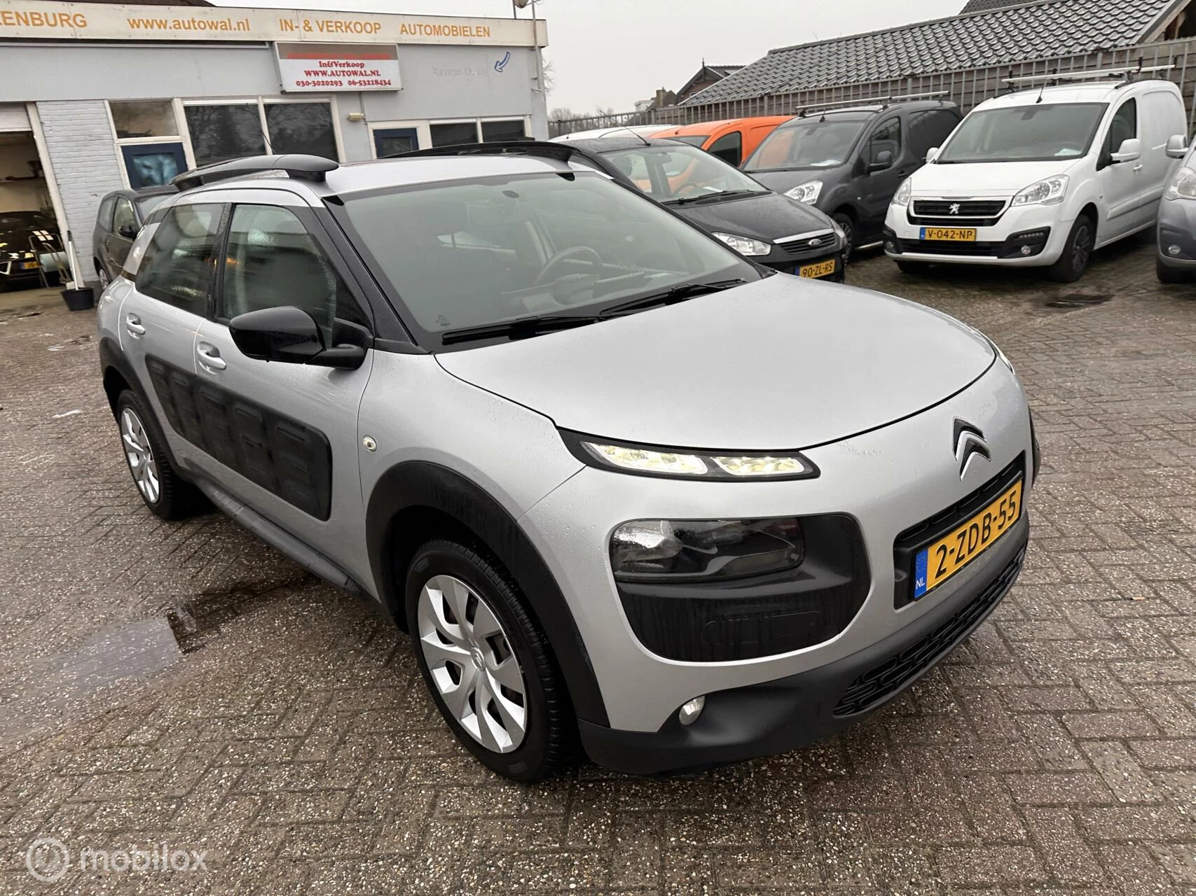 Hoofdafbeelding Citroën C4 Cactus