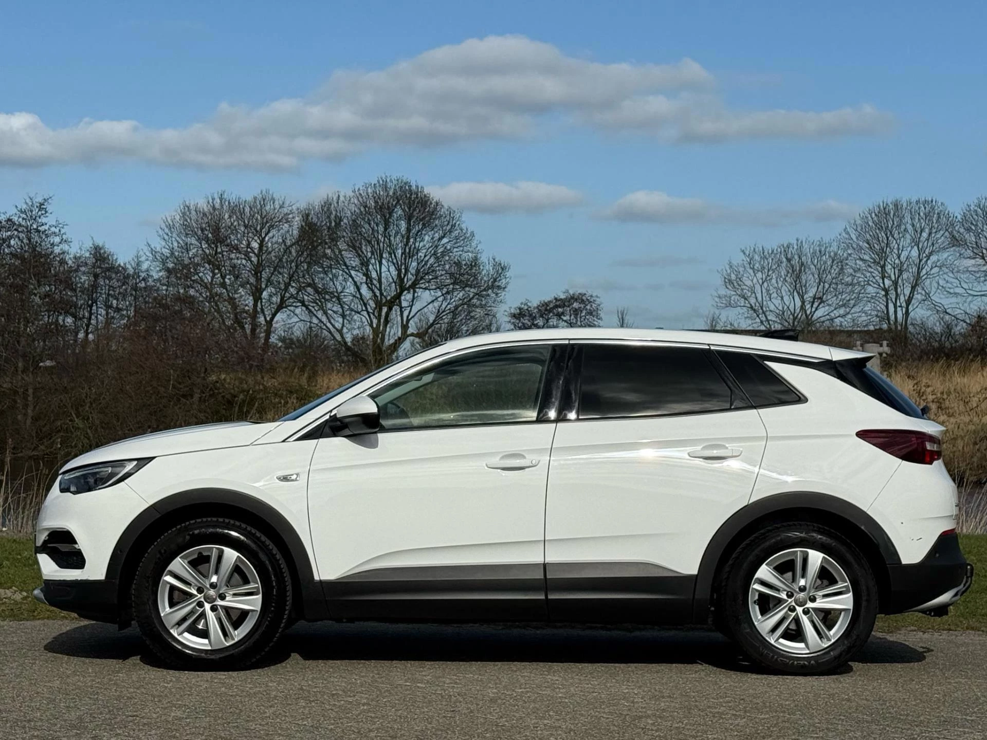 Hoofdafbeelding Opel Grandland X