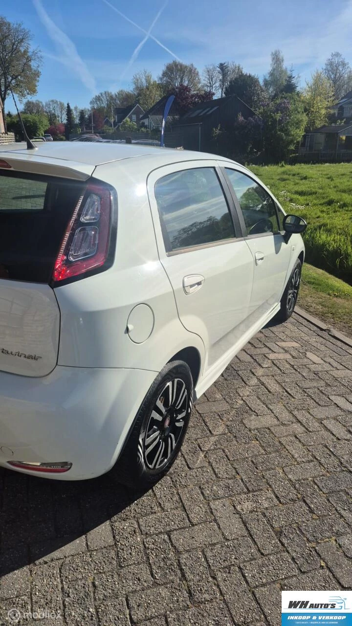 Hoofdafbeelding Fiat Punto