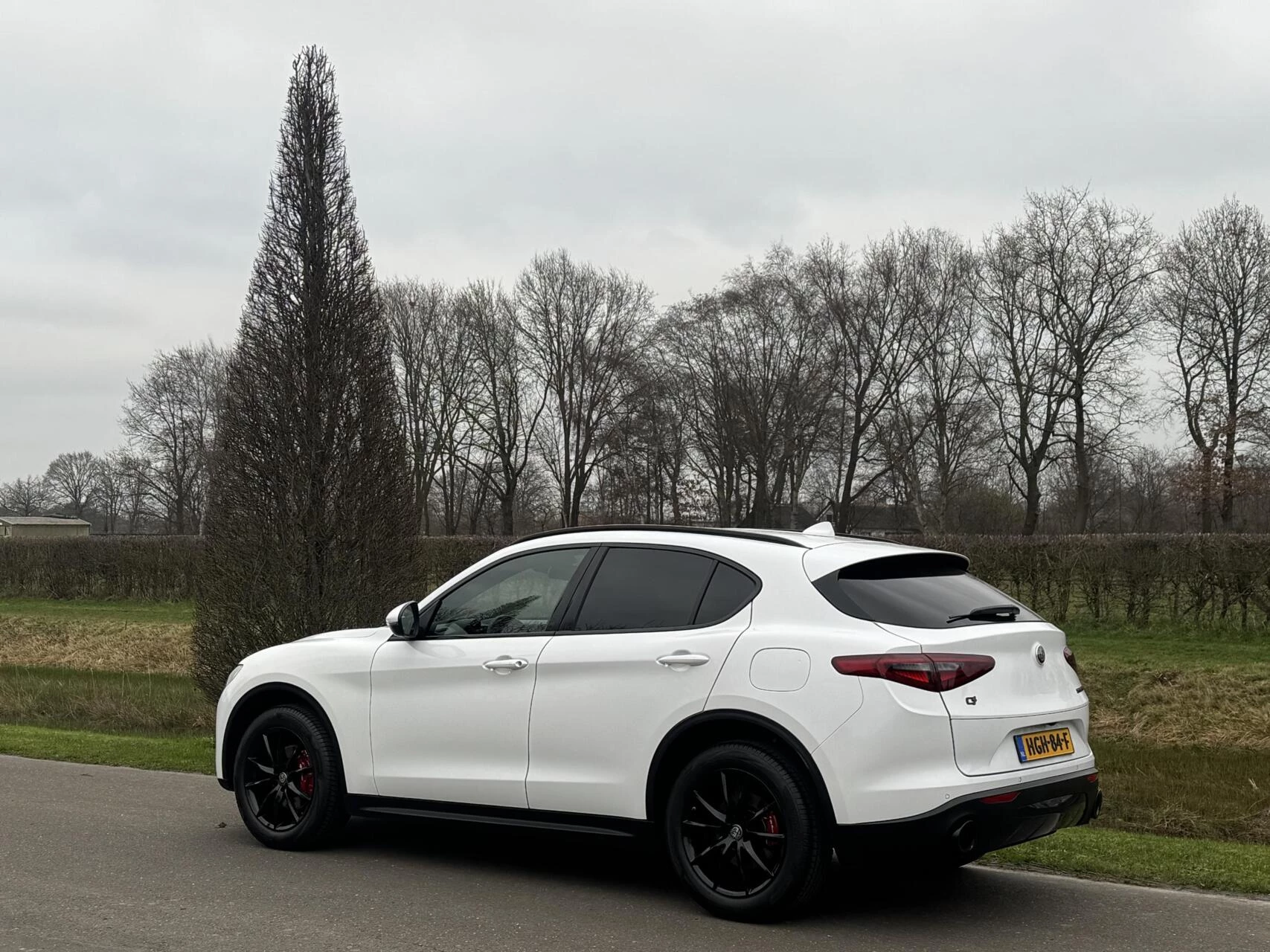 Hoofdafbeelding Alfa Romeo Stelvio