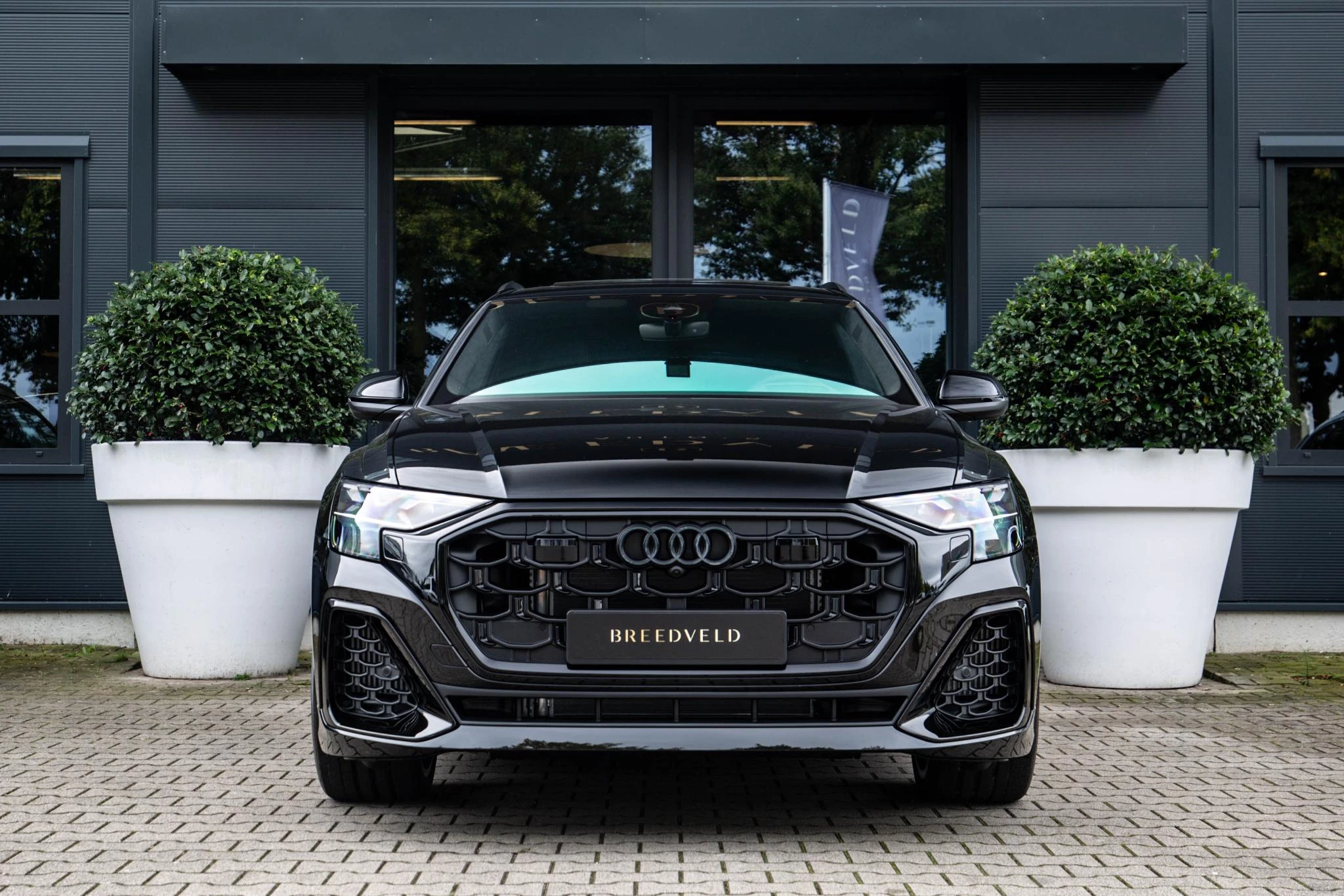 Hoofdafbeelding Audi Q8