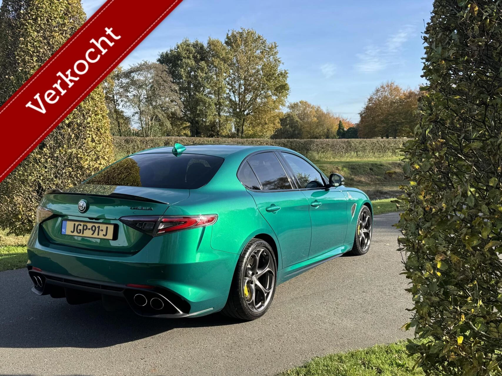 Hoofdafbeelding Alfa Romeo Giulia