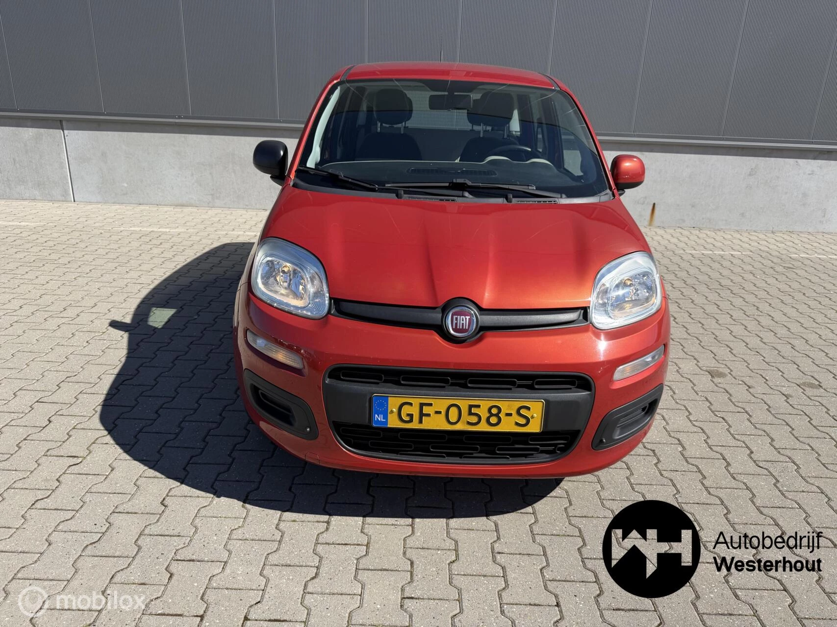 Hoofdafbeelding Fiat Panda