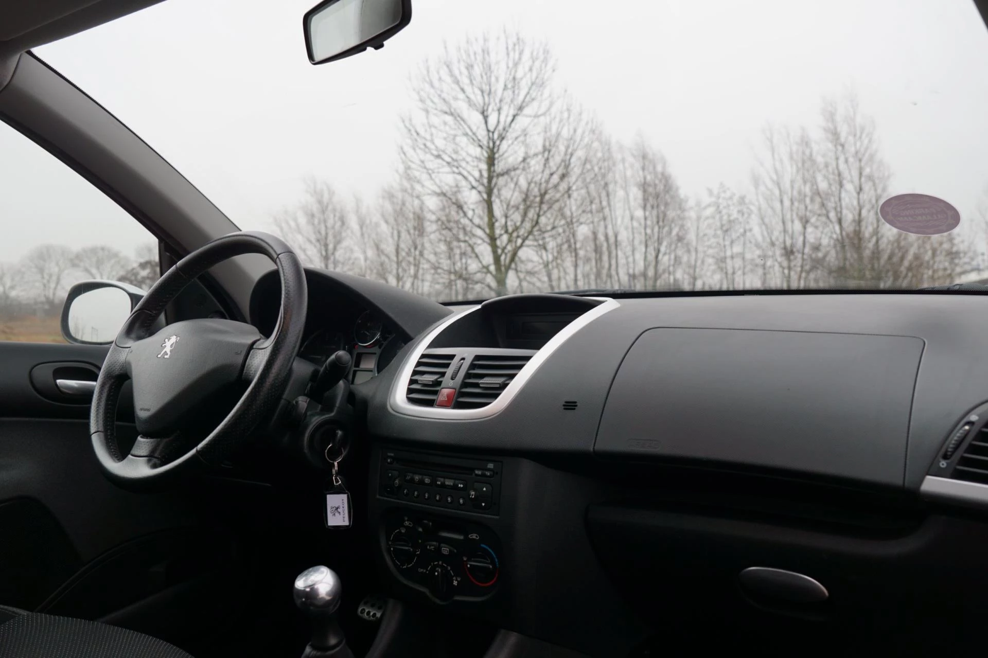 Hoofdafbeelding Peugeot 206