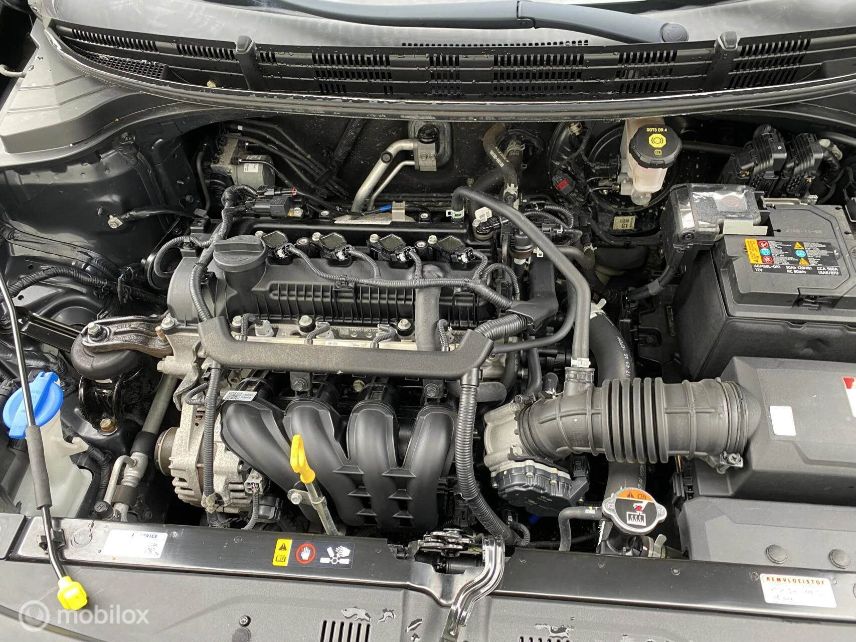 Hoofdafbeelding Kia Rio