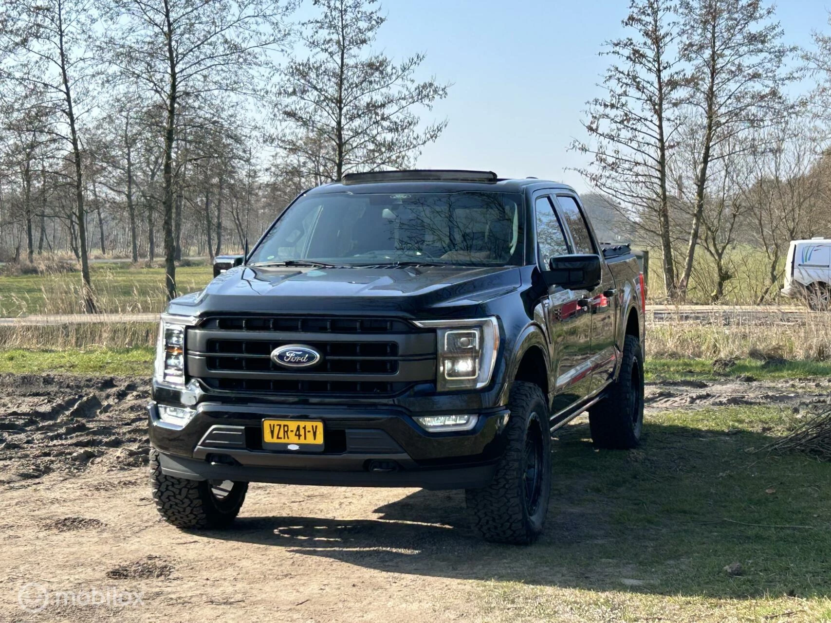 Hoofdafbeelding Ford F-150