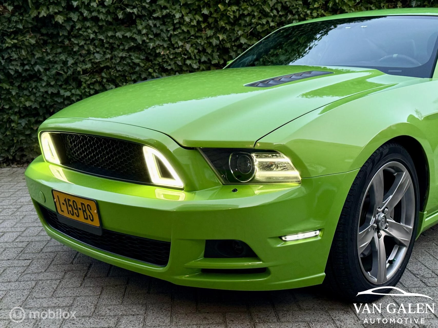 Hoofdafbeelding Ford Mustang