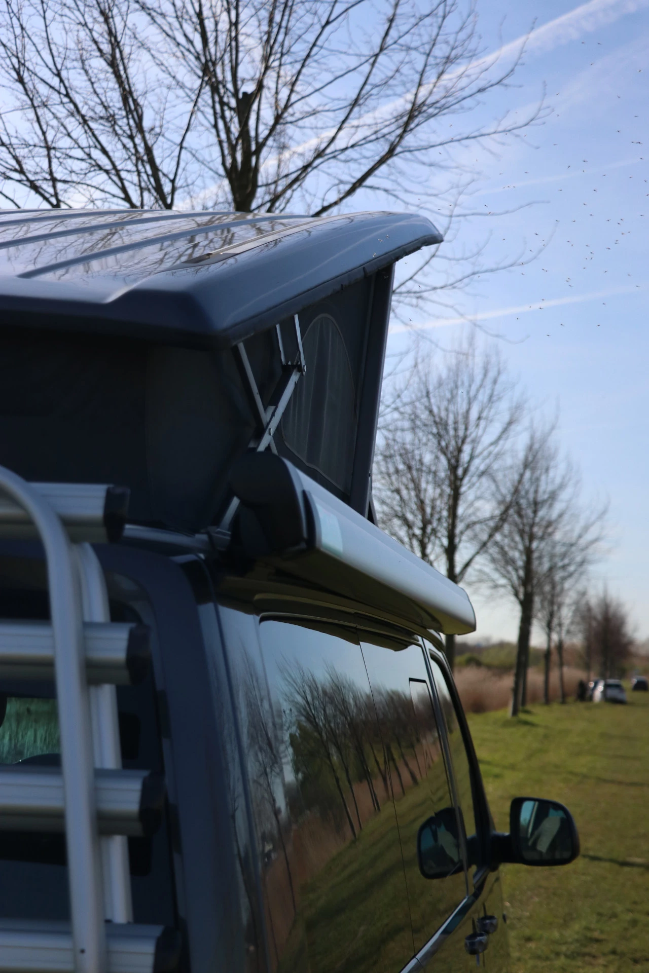 Hoofdafbeelding Volkswagen California