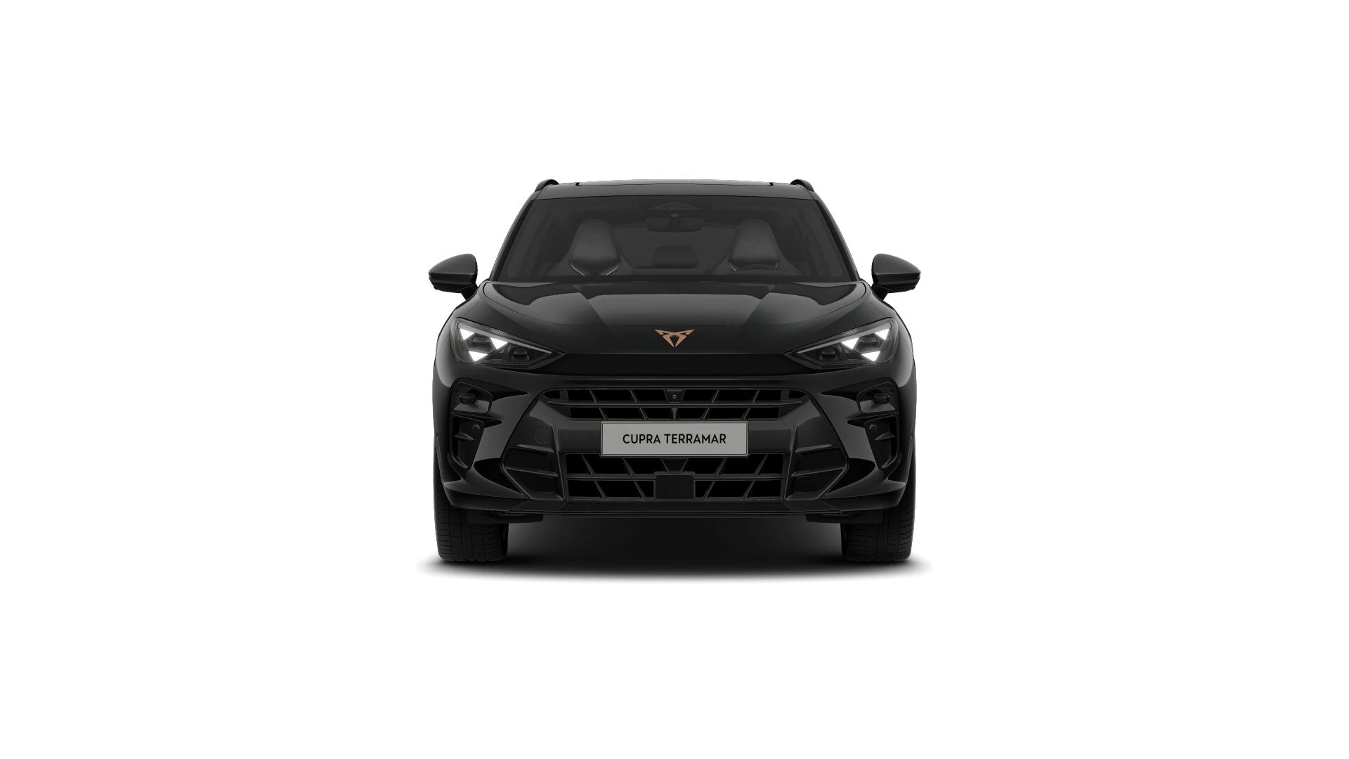 Hoofdafbeelding CUPRA Terramar