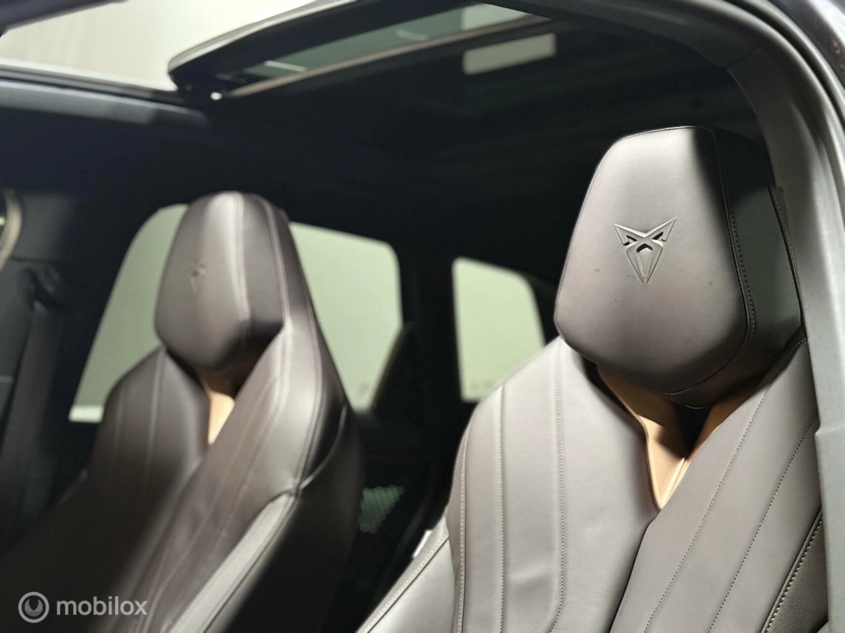 Hoofdafbeelding CUPRA Terramar