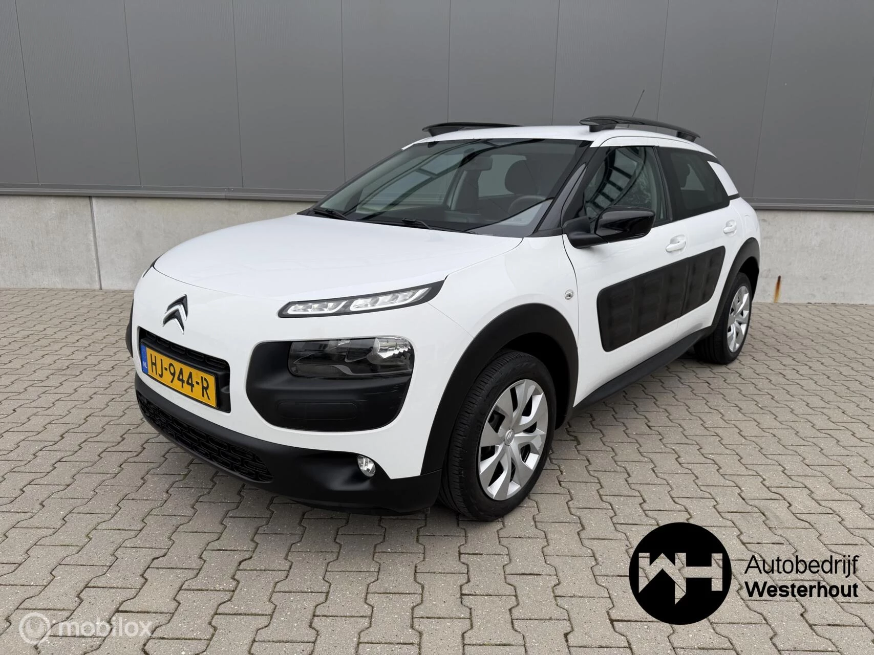 Hoofdafbeelding Citroën C4 Cactus