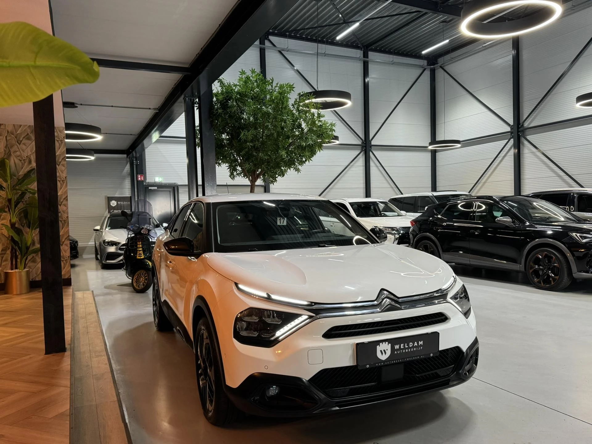 Hoofdafbeelding Citroën C4