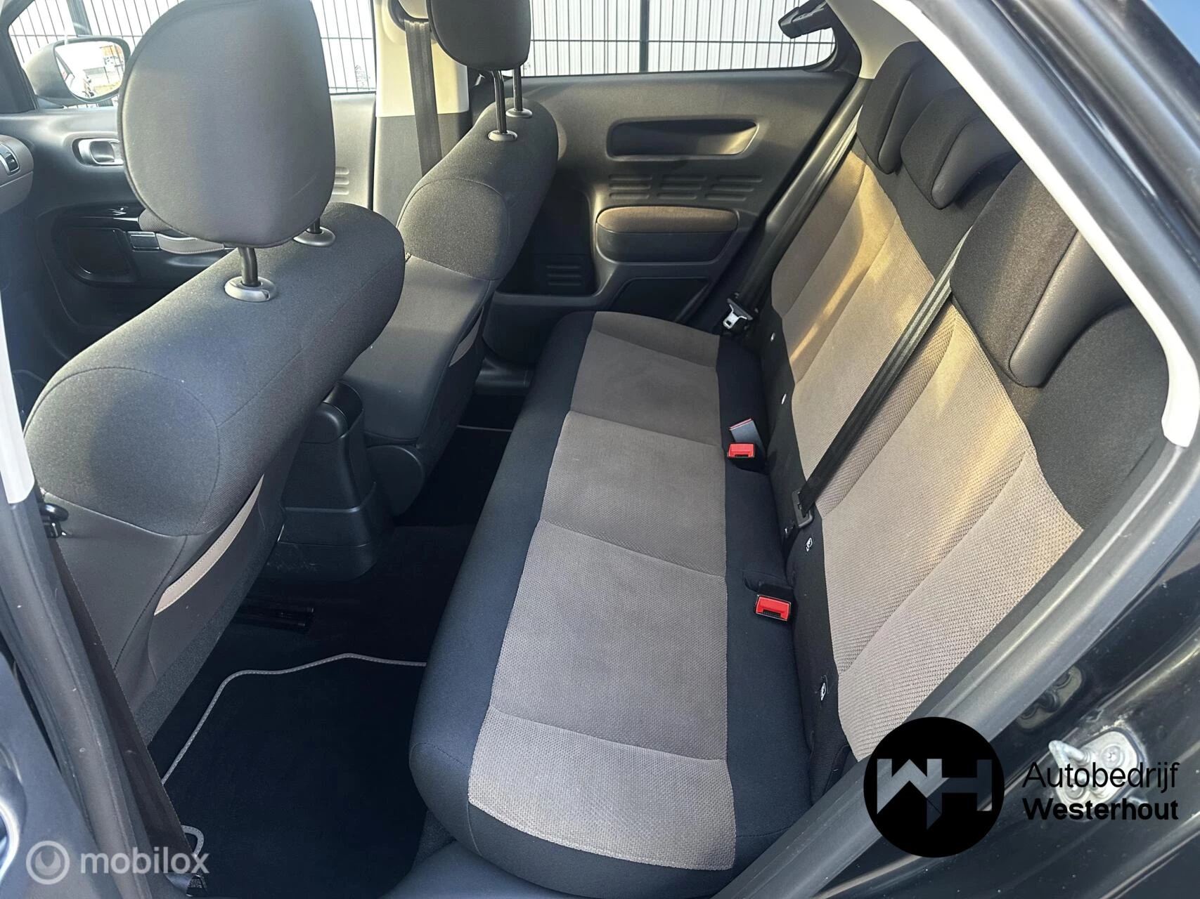 Hoofdafbeelding Citroën C4 Cactus