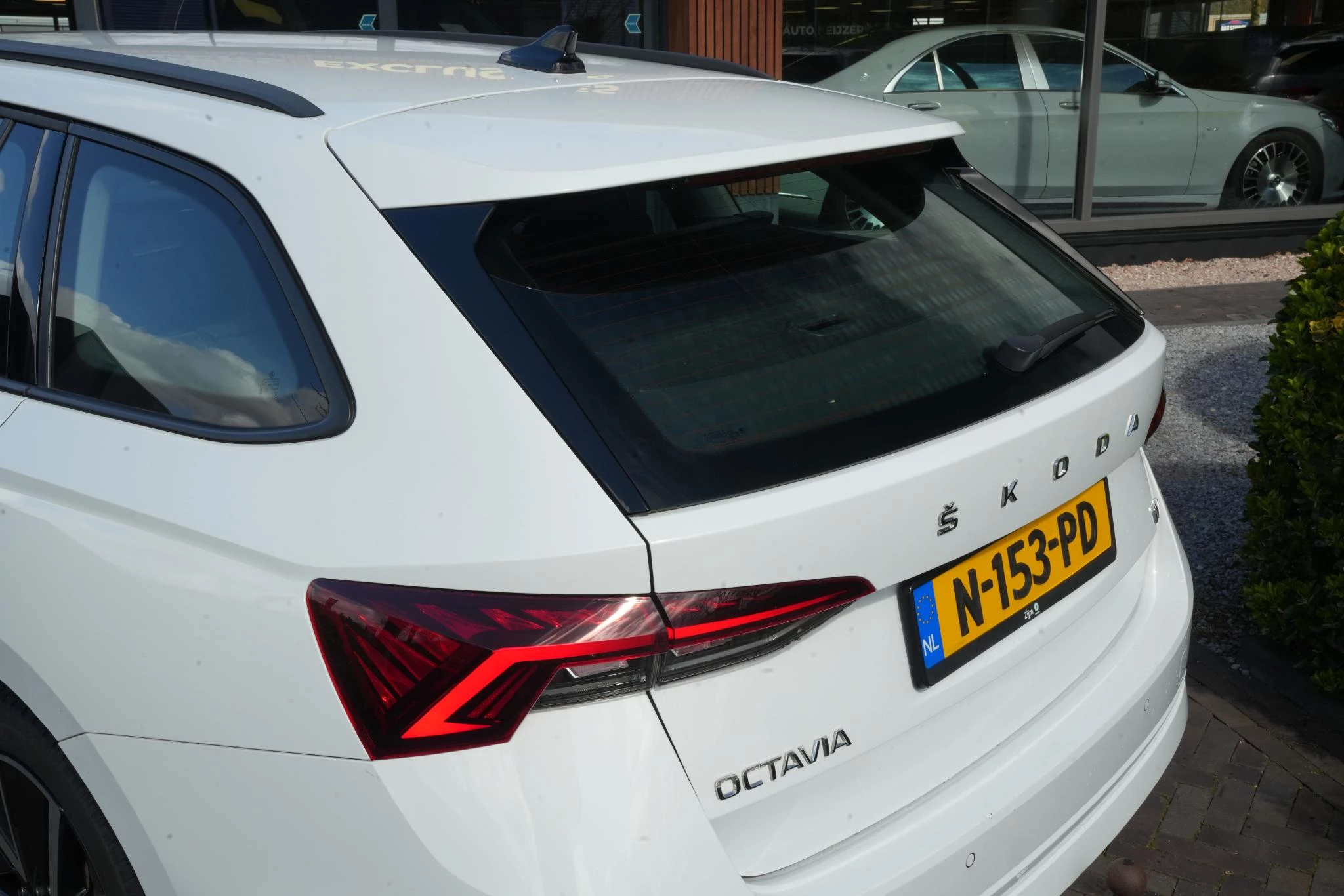 Hoofdafbeelding Škoda Octavia