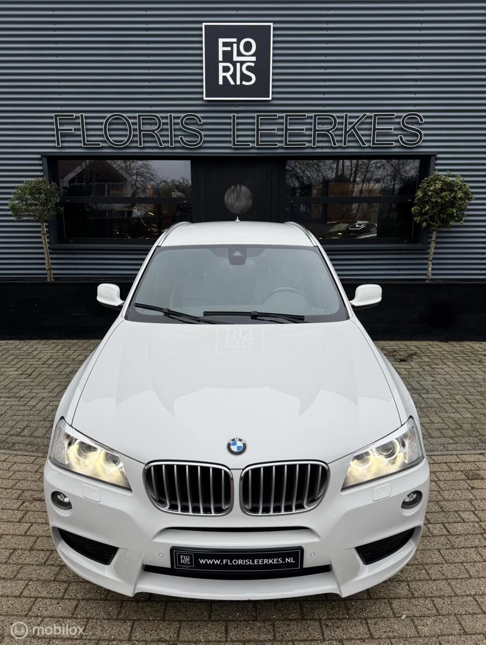 Hoofdafbeelding BMW X3