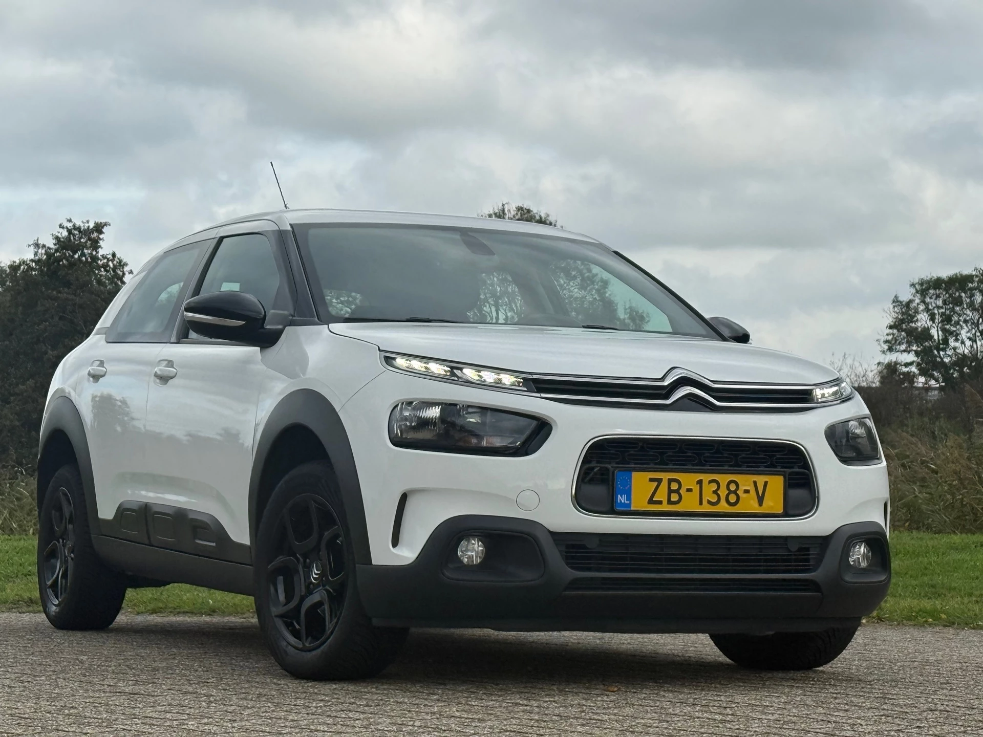 Hoofdafbeelding Citroën C4 Cactus