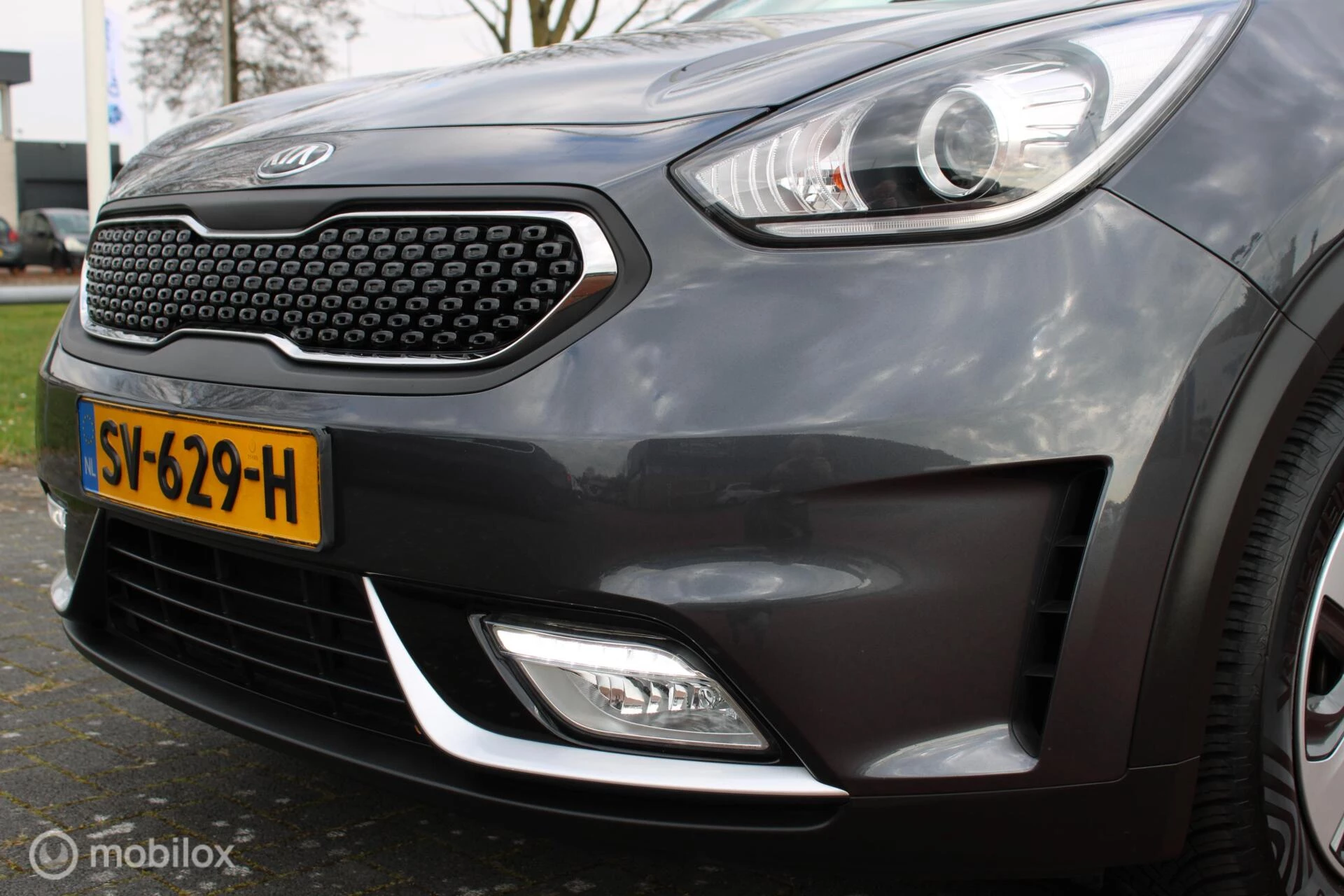 Hoofdafbeelding Kia Niro