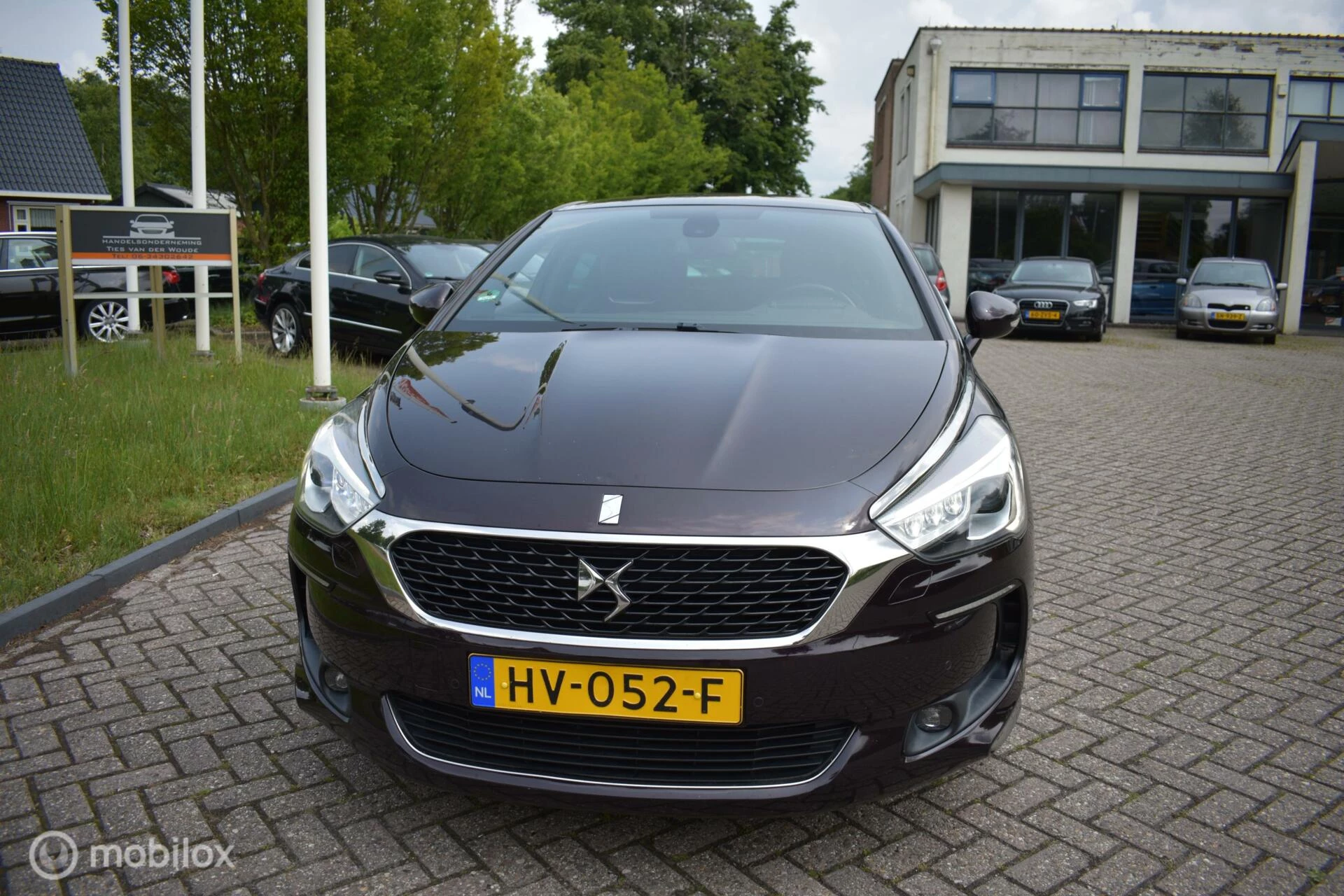 Hoofdafbeelding DS DS 5