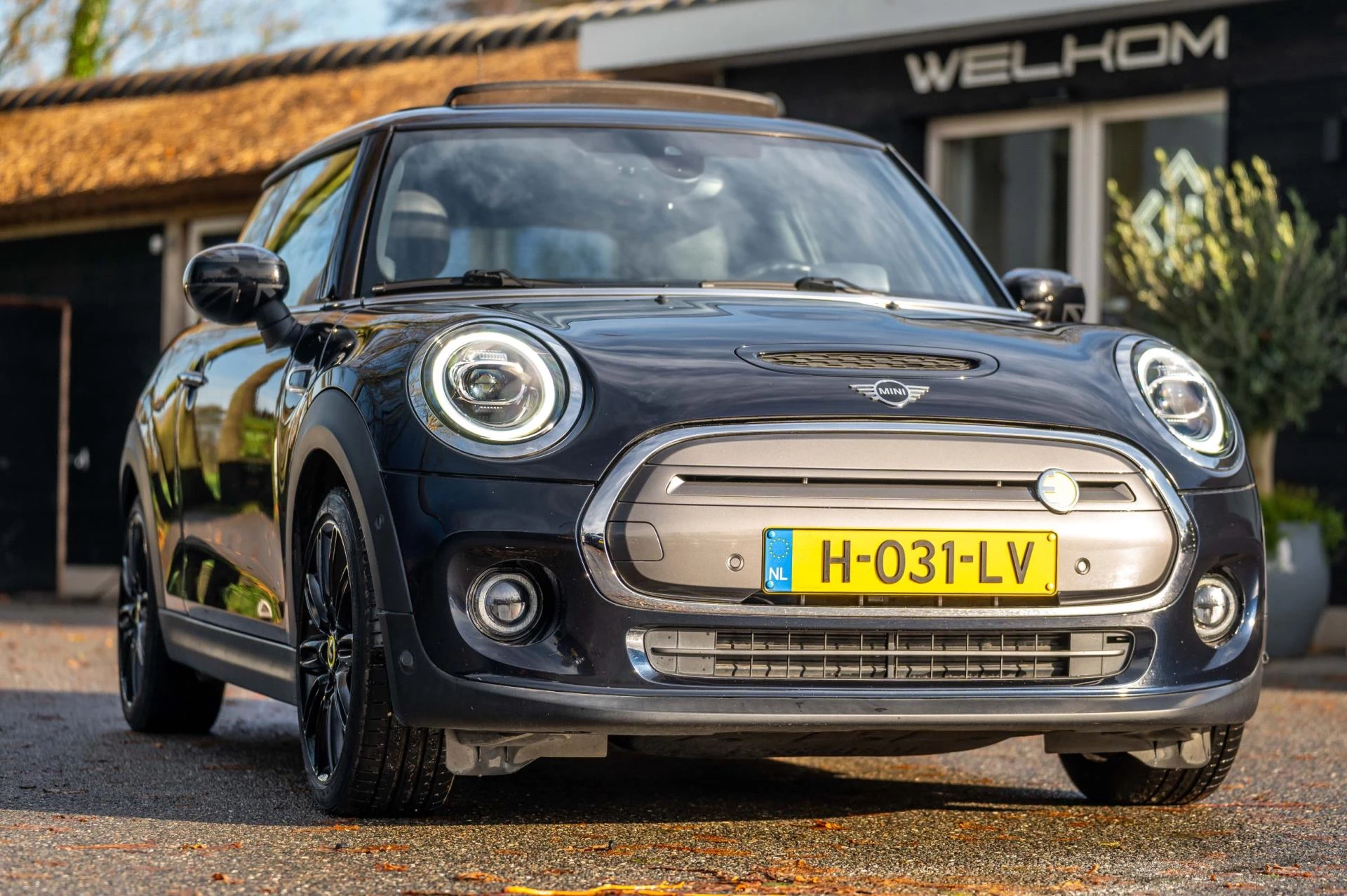 Hoofdafbeelding MINI Electric