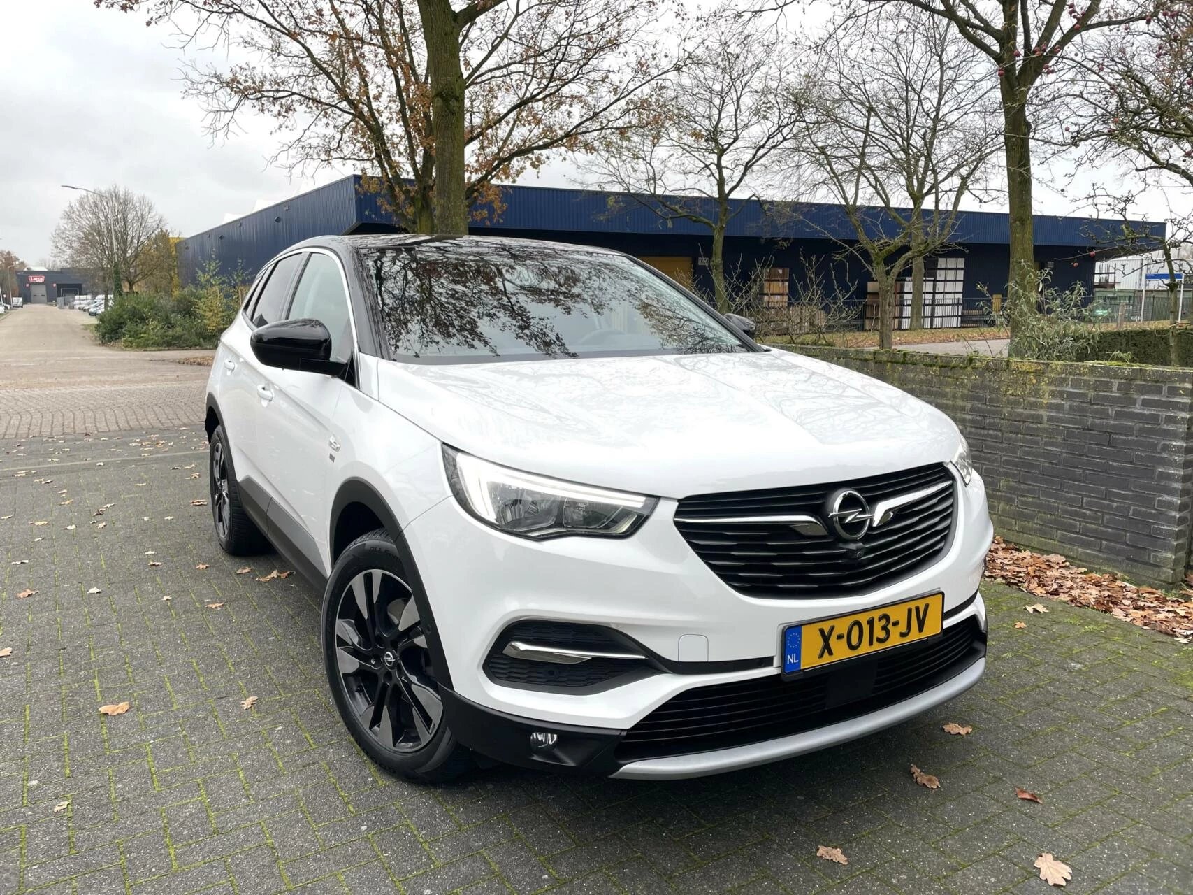 Hoofdafbeelding Opel Grandland X