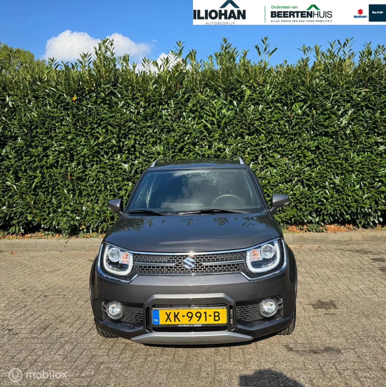 Hoofdafbeelding Suzuki Ignis