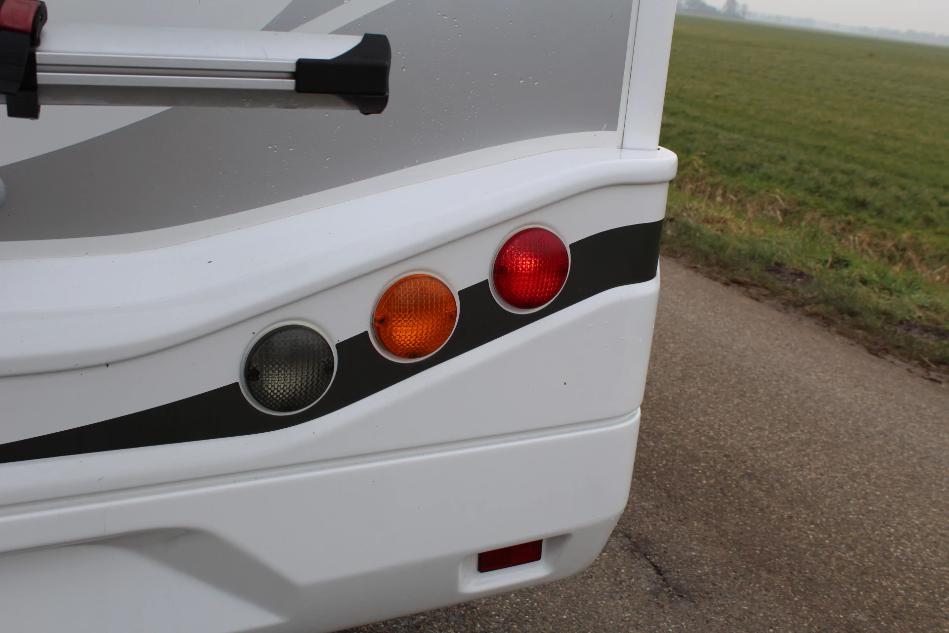 Hoofdafbeelding McLouis YEARLING