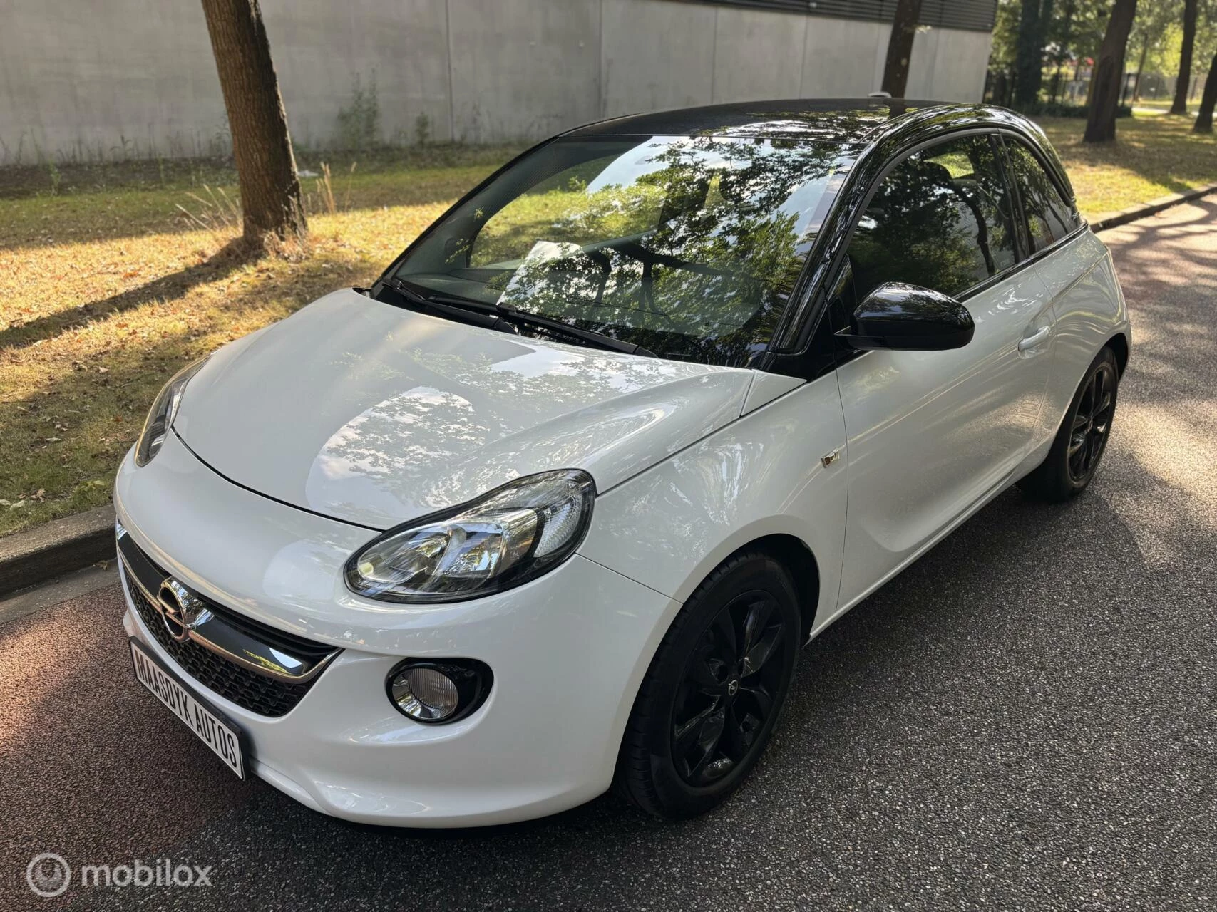 Hoofdafbeelding Opel ADAM