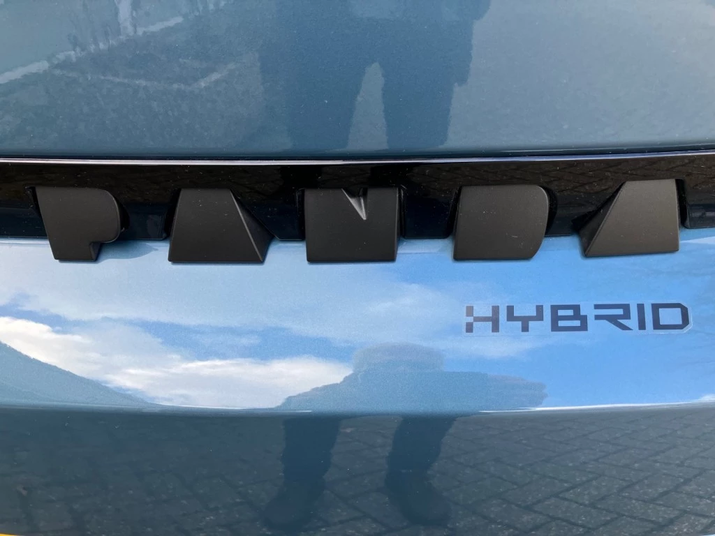 Hoofdafbeelding Fiat Grande Panda