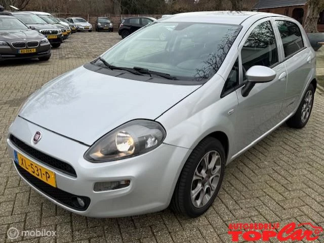 Hoofdafbeelding Fiat Punto