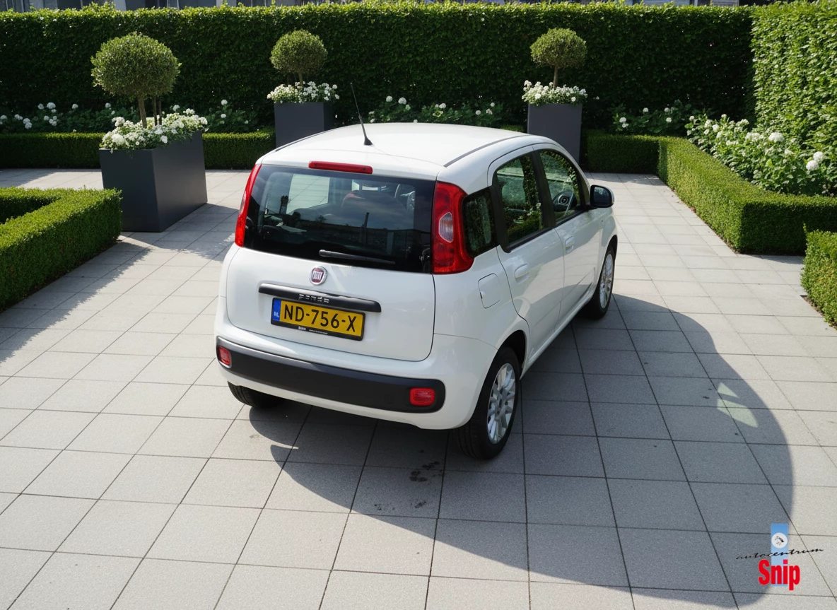 Hoofdafbeelding Fiat Panda