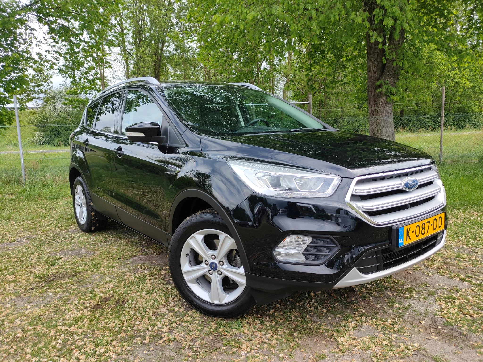 Hoofdafbeelding Ford Kuga