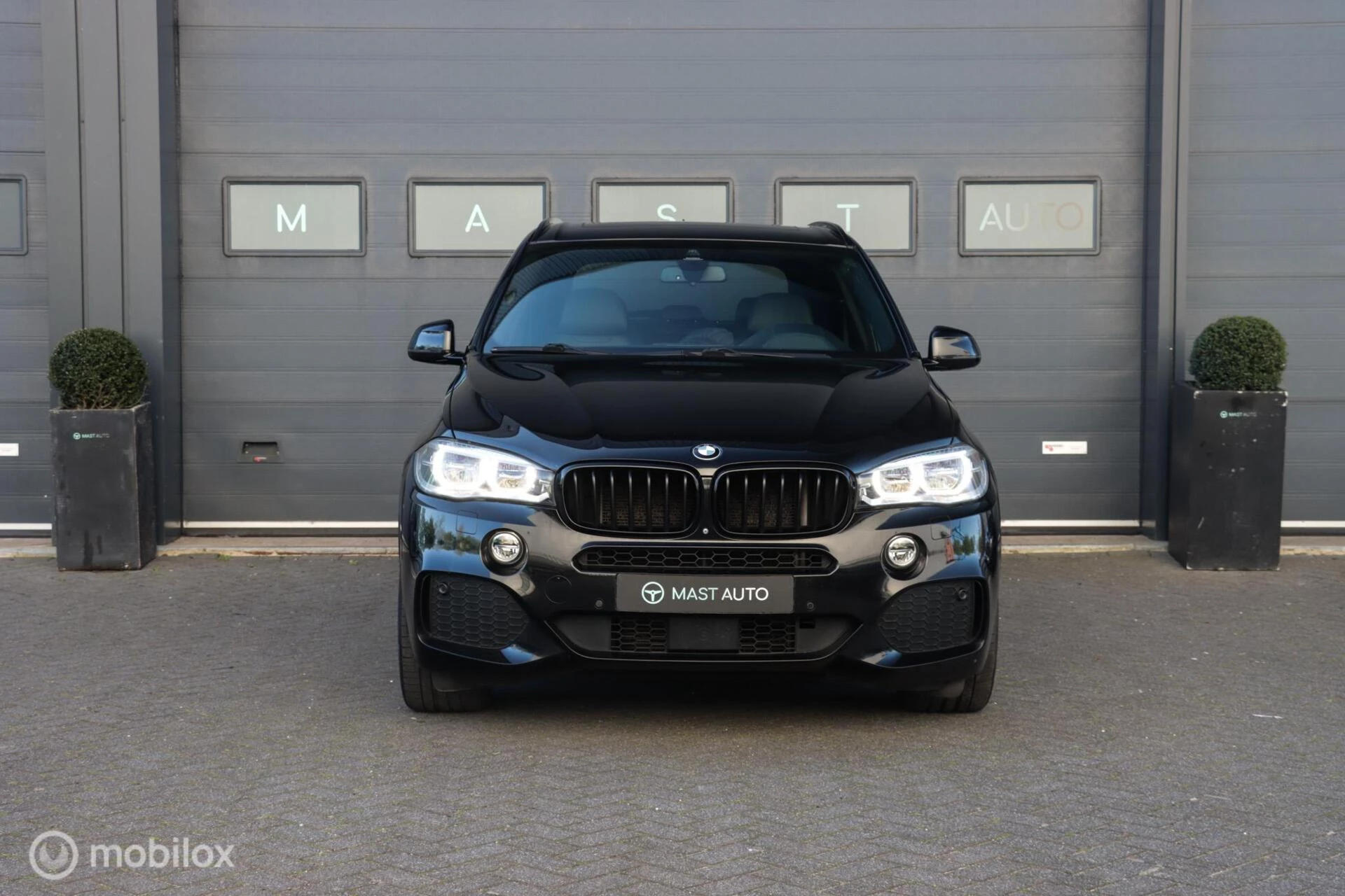 Hoofdafbeelding BMW X5
