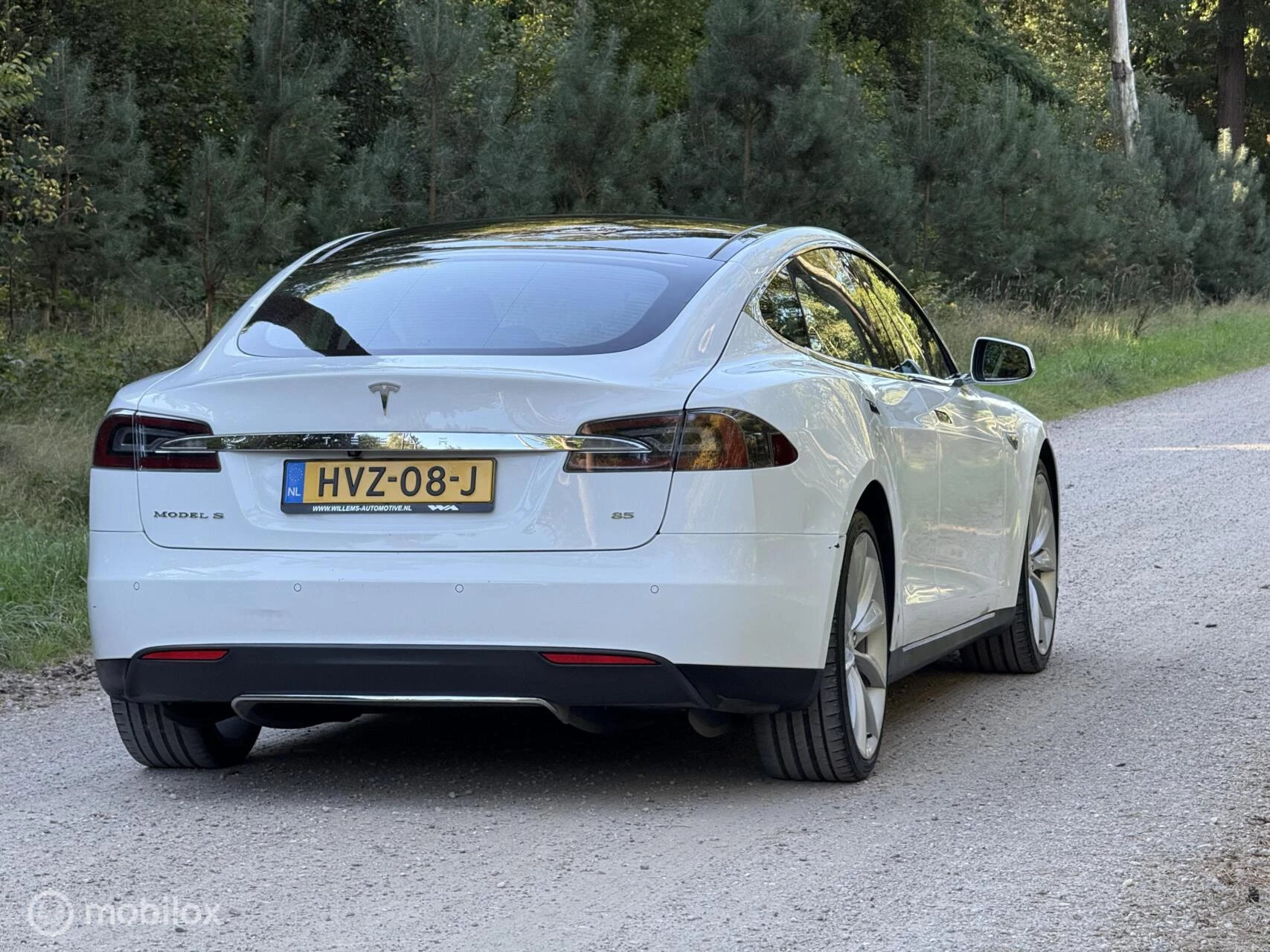 Hoofdafbeelding Tesla Model S