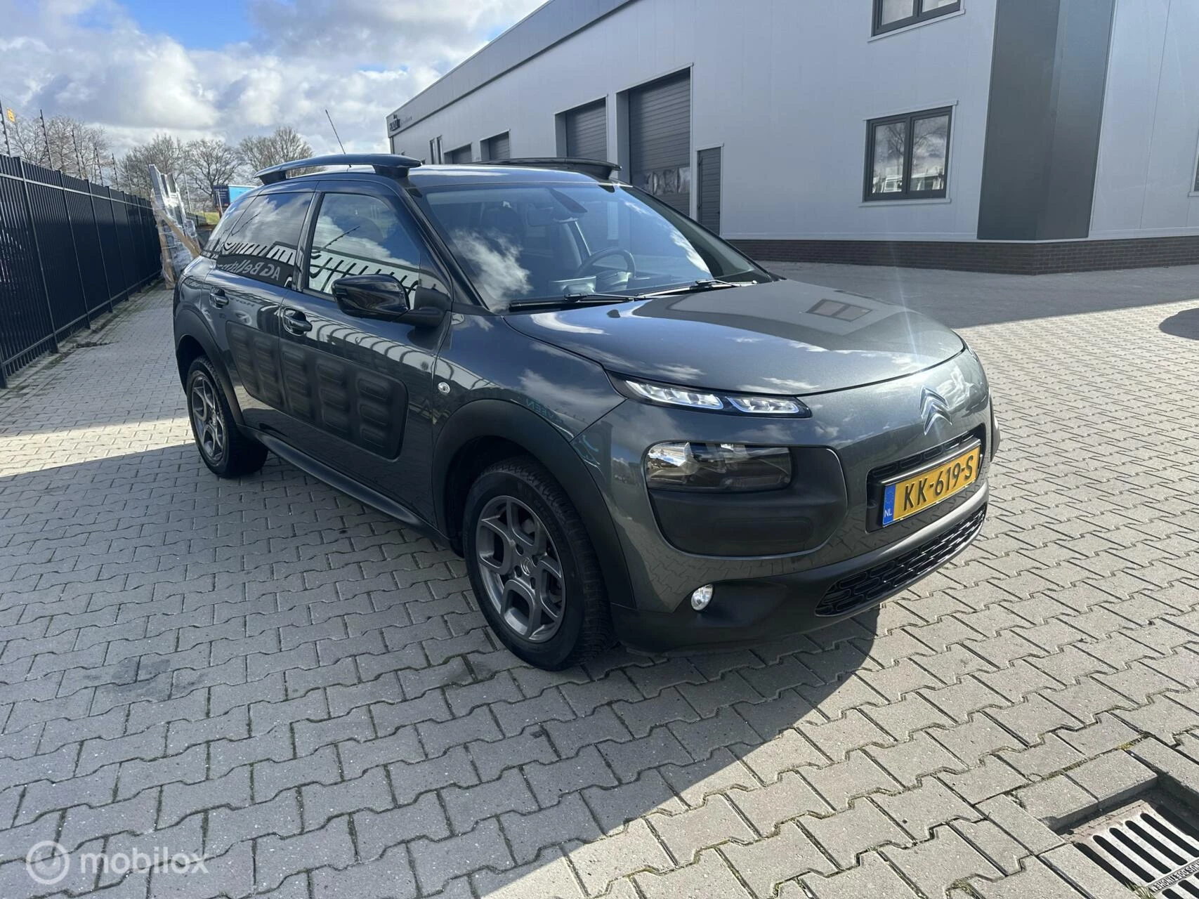 Hoofdafbeelding Citroën C4 Cactus