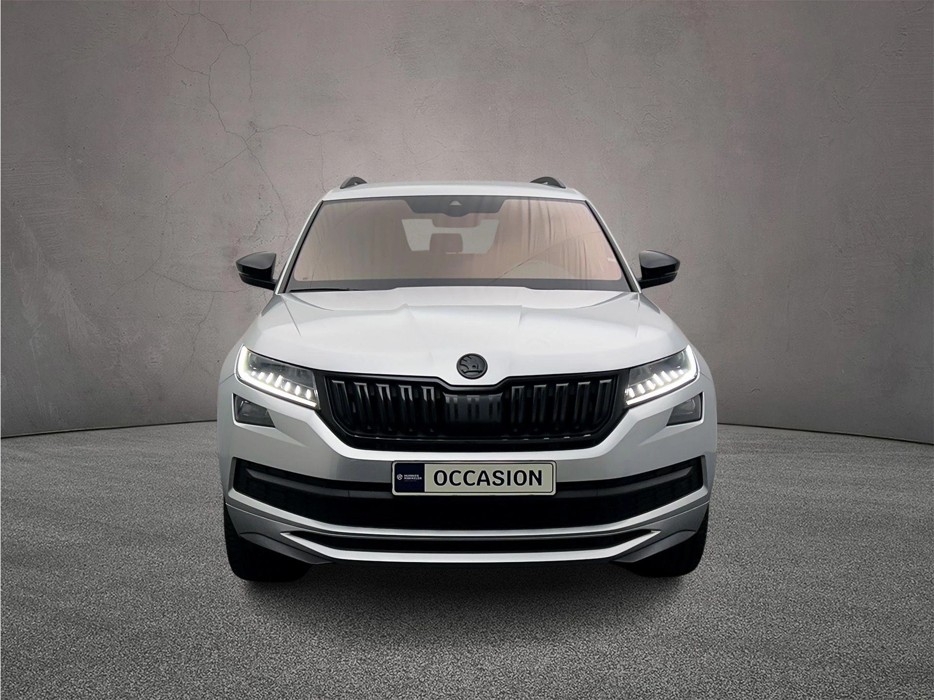 Hoofdafbeelding Škoda Kodiaq