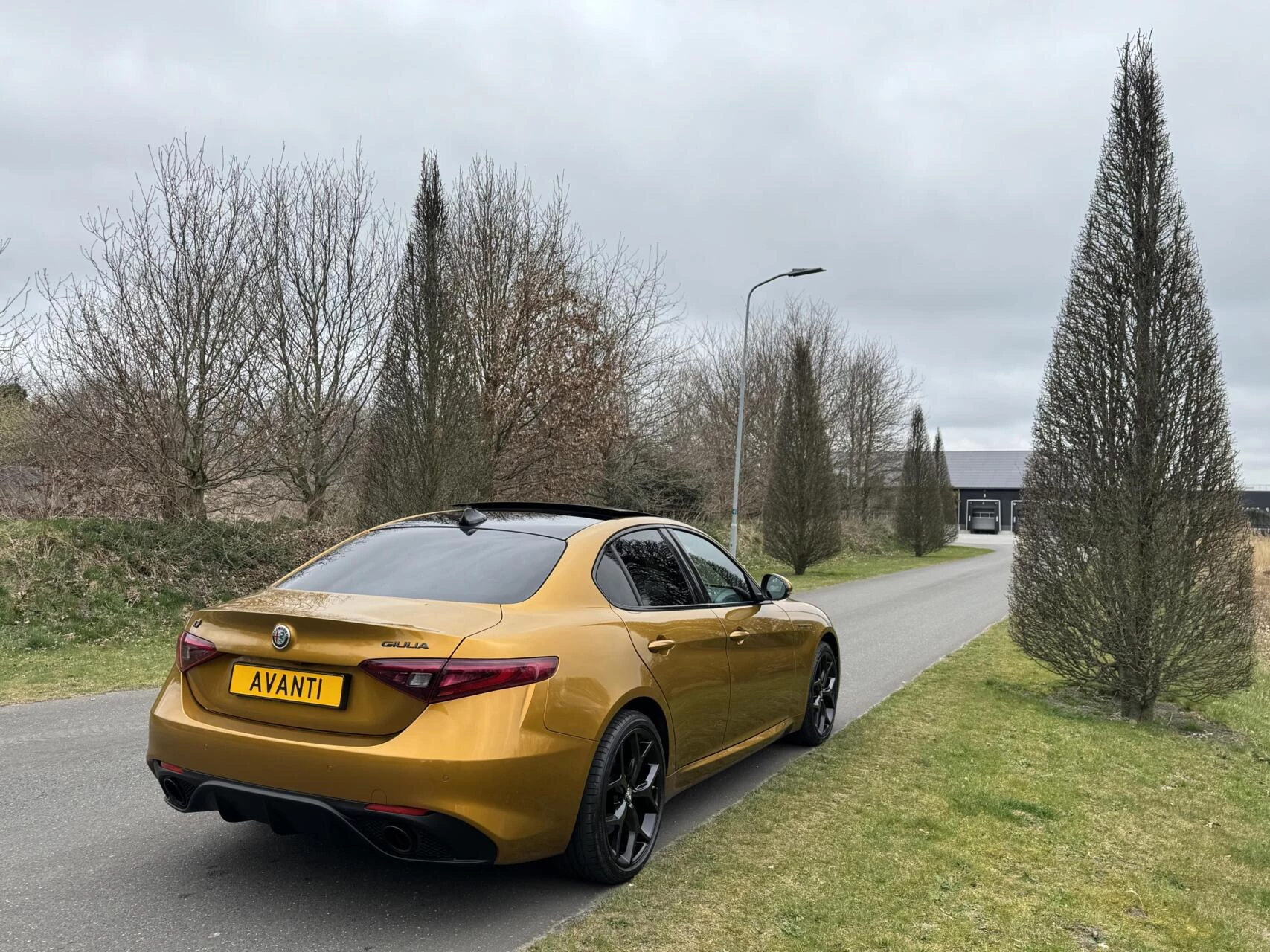 Hoofdafbeelding Alfa Romeo Giulia