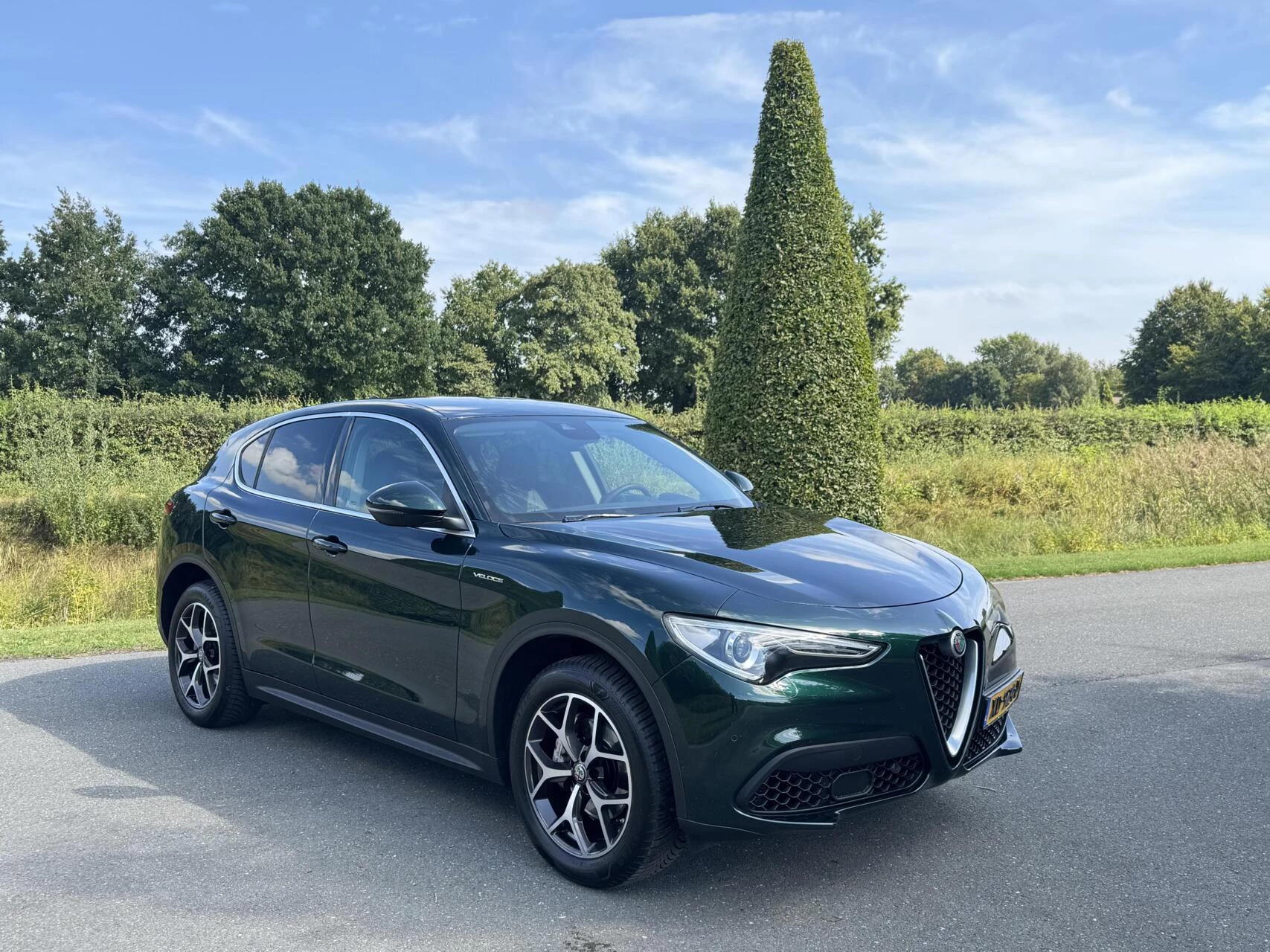 Hoofdafbeelding Alfa Romeo Stelvio