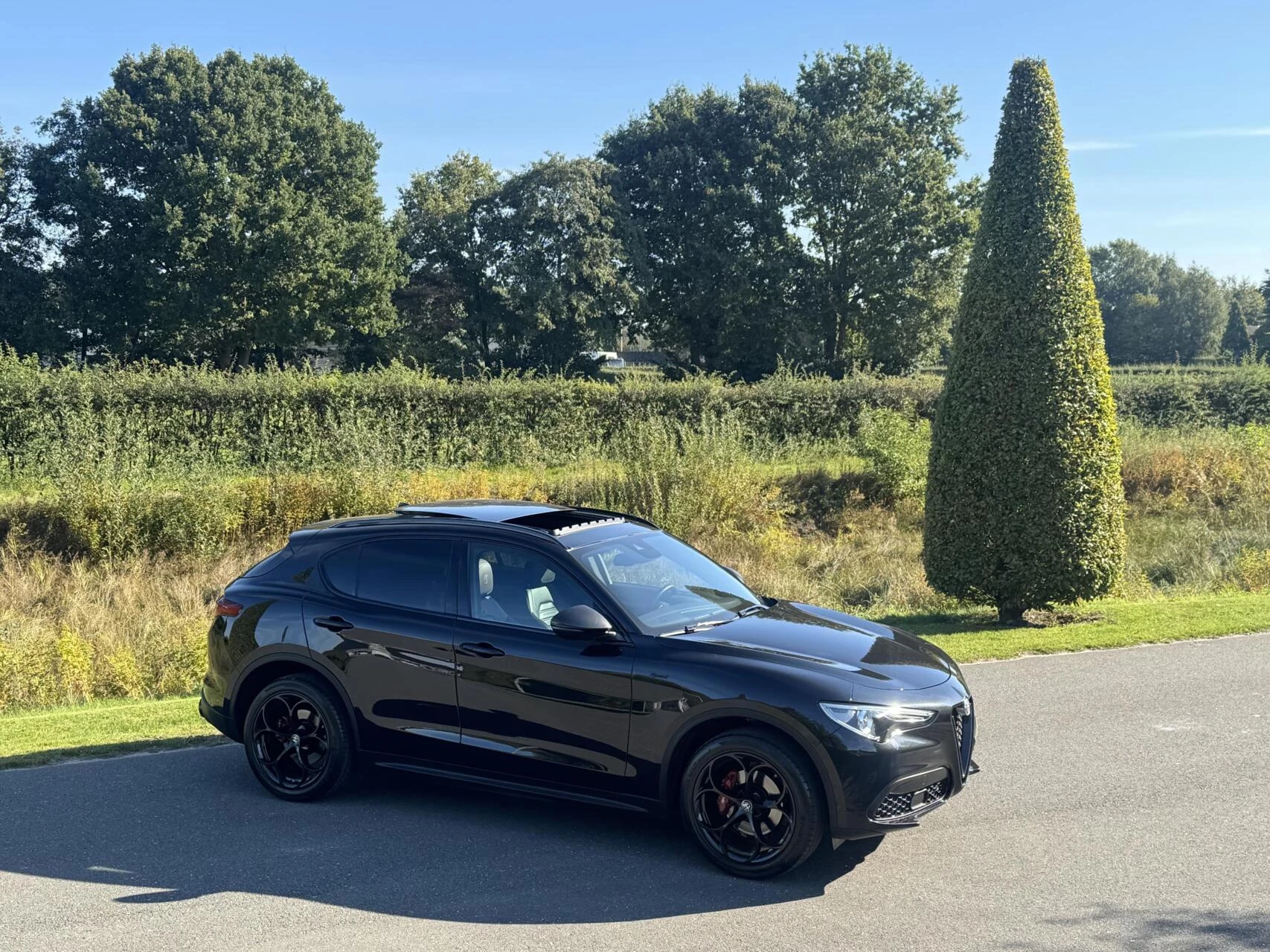 Hoofdafbeelding Alfa Romeo Stelvio