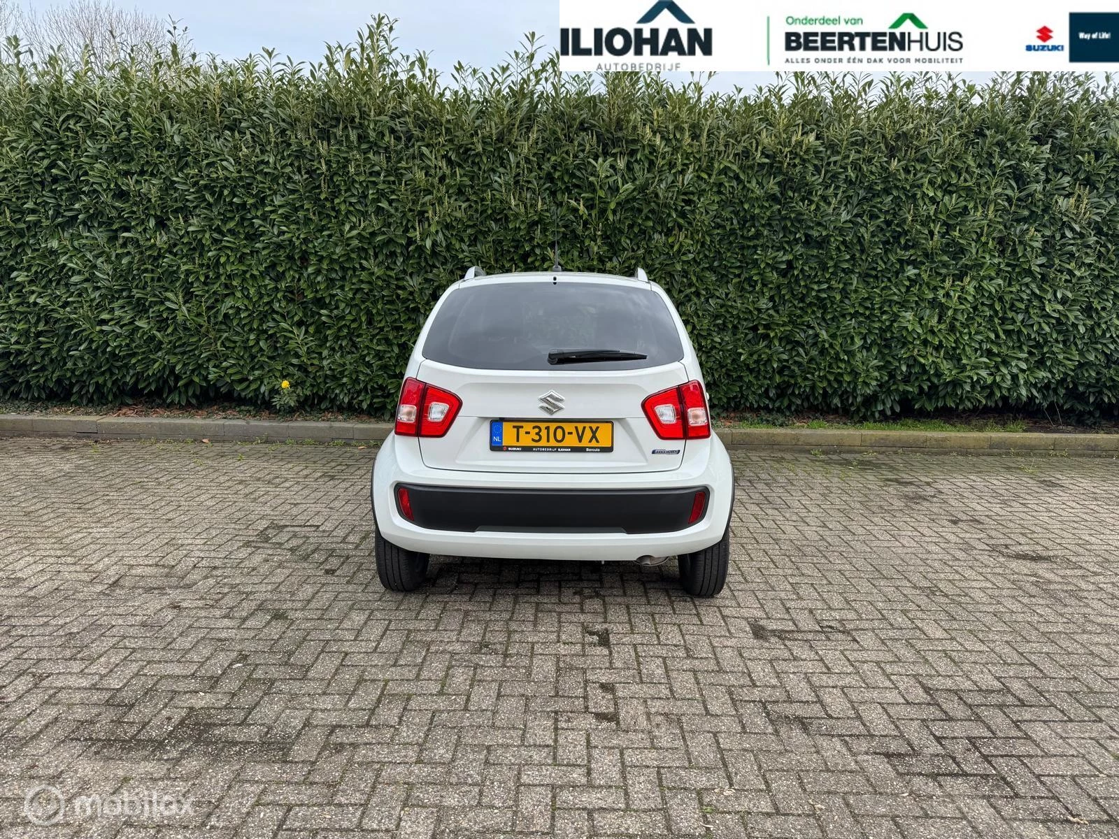 Hoofdafbeelding Suzuki Ignis