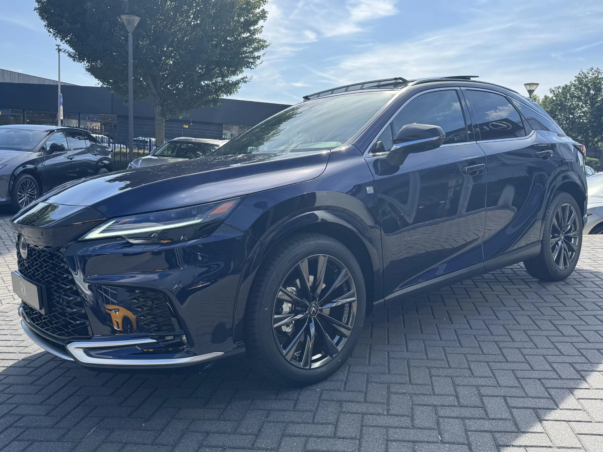 Hoofdafbeelding Lexus RX