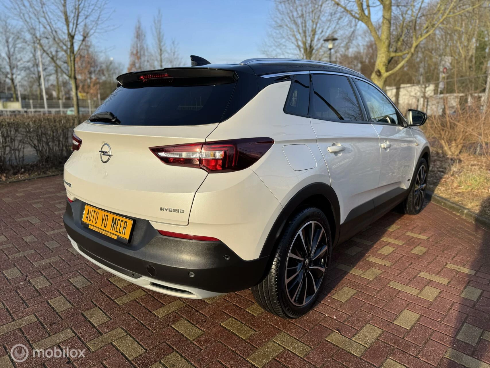 Hoofdafbeelding Opel Grandland X