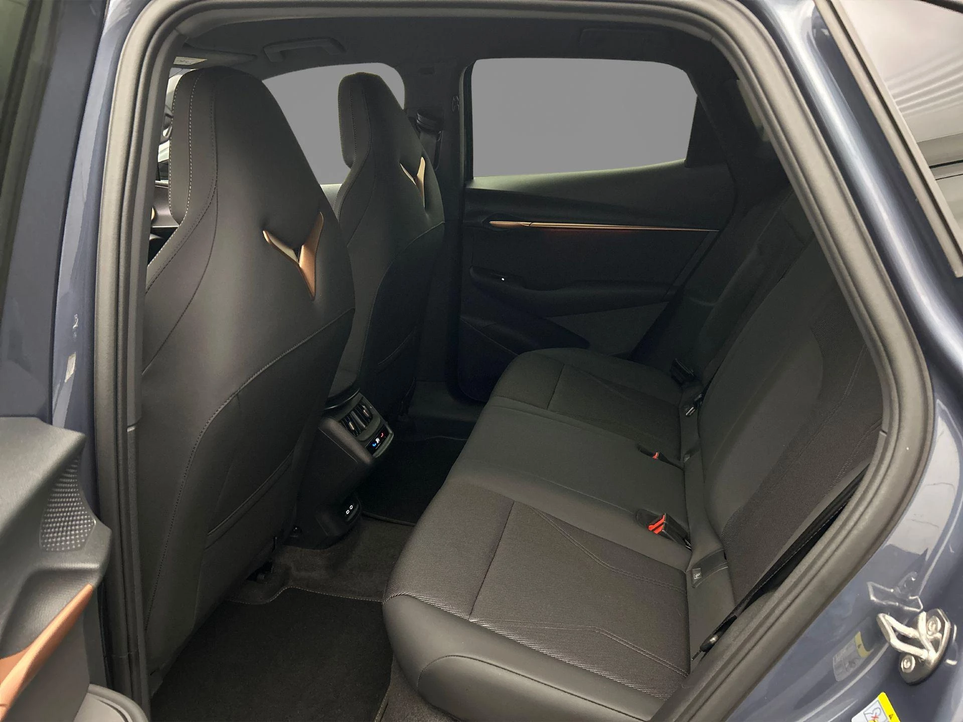 Hoofdafbeelding CUPRA Tavascan