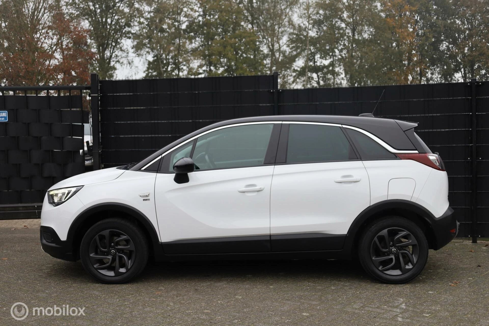 Hoofdafbeelding Opel Crossland X